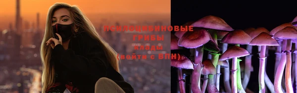 ешки Аркадак