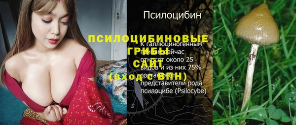 Альфа ПВП Армянск