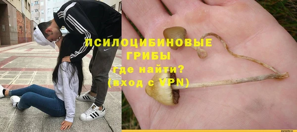 ешки Аркадак