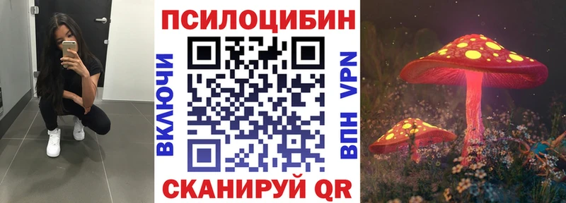 ссылка на мегу как зайти  Мценск  Псилоцибиновые грибы GOLDEN TEACHER  как найти наркотики 